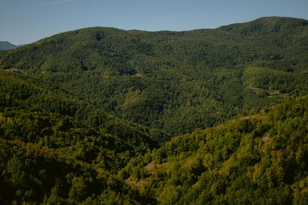 Les Sites du Patrimoine Mondial : Catalyseurs de Croissance Économique pour les Nations